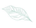 Lawn care services near me