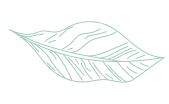 Lawn care services near me