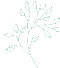 Lawn care services near me