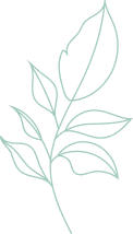 Lawn care services near me