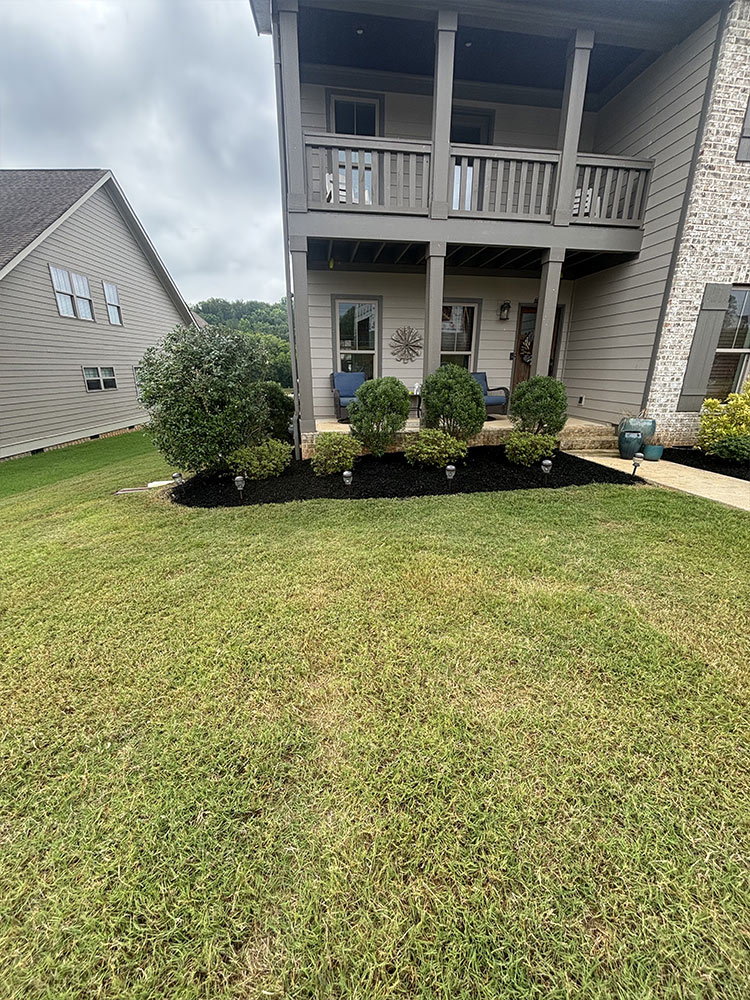 Expert lawn care service near me