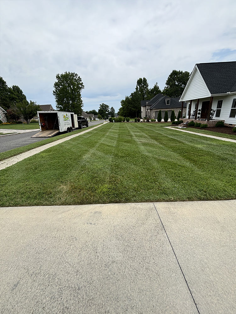 Professional landscaping maintenance East Brainerd TN