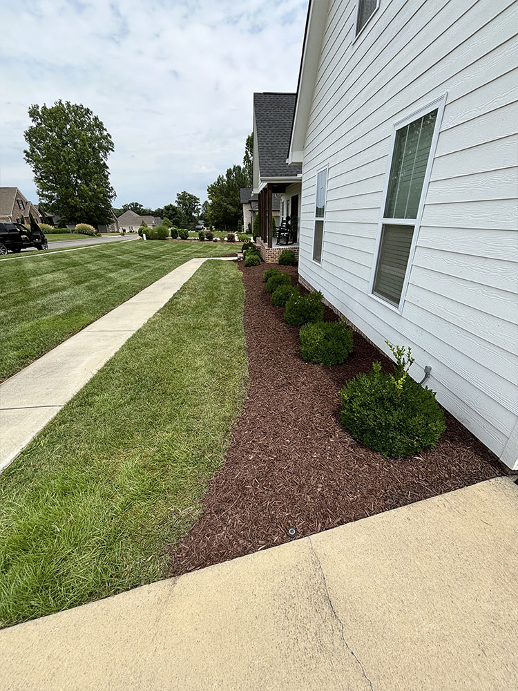 Professional landscaping maintenance East Brainerd TN