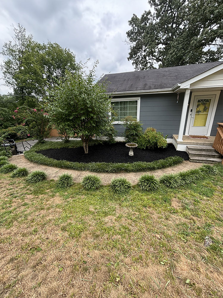 Professional landscaping maintenance East Brainerd TN