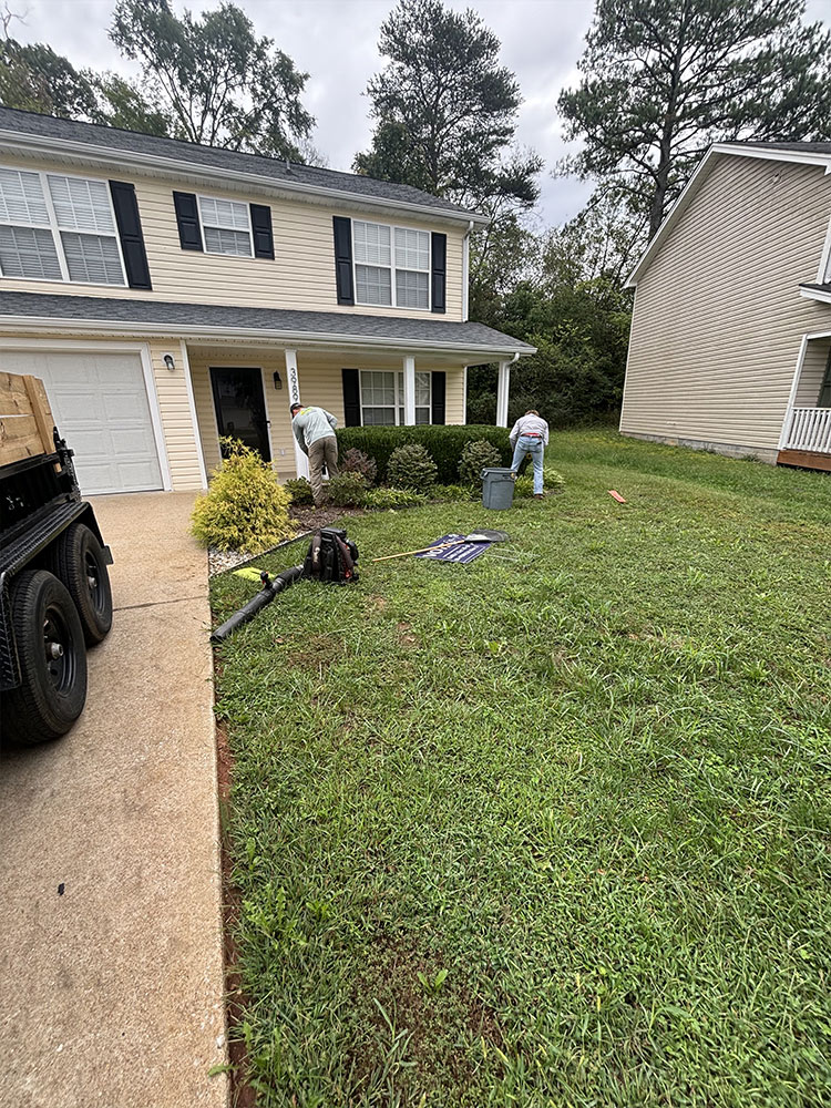 Yard cleanup service in my area
