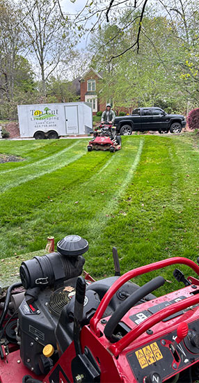 Expert lawn care services near me
