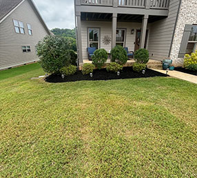Landscaping maintenance Chattanooga TN