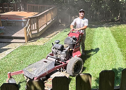 Expert lawn care services near me