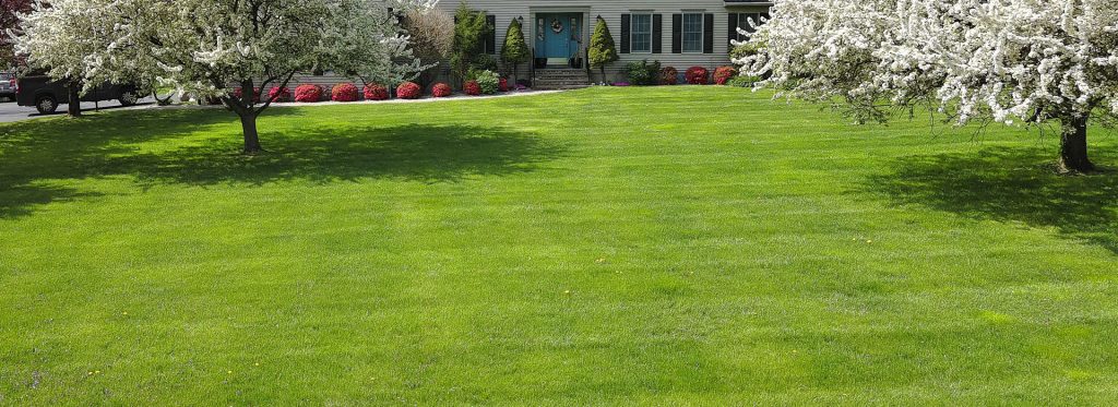 Lawn care specialists Chattanooga TN